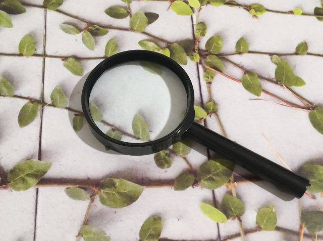 リードジェネレーションとリードナーチャリングの違いを詳しく解説