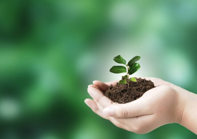 リードナーチャリングとは?メリットと始め方を紹介