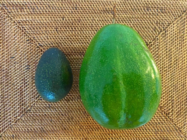 インサイドセールスとテレアポの違いとは?3つのポイント。